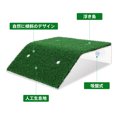 thumbnail image 3 of IFANLANDOR Turtle Terrace Basking Platform Climbing Ladder Green 1Set PP for Small Turtles, 3 of 8