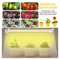 thumbnail image 6 of 1/2/3/4 LED Grow Light Strips For Indoor, Plants USB Full Spectrum Phyto Lamp Dimmable Timer Seedlings Vegs Flower Growing Lamp ,High Efficiency, 6 of 7