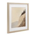 thumbnail image 2 of Stupell Industries Eclectic Serene Cliffside Vista Birch Framed Print Under Glass, 13 x 13, by Petals Prints Design, 2 of 8