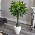 thumbnail image 2 of Nearly Natural 5 ft. Money Artificial Tree in White Oval Planter (Real Touch, 2 of 3