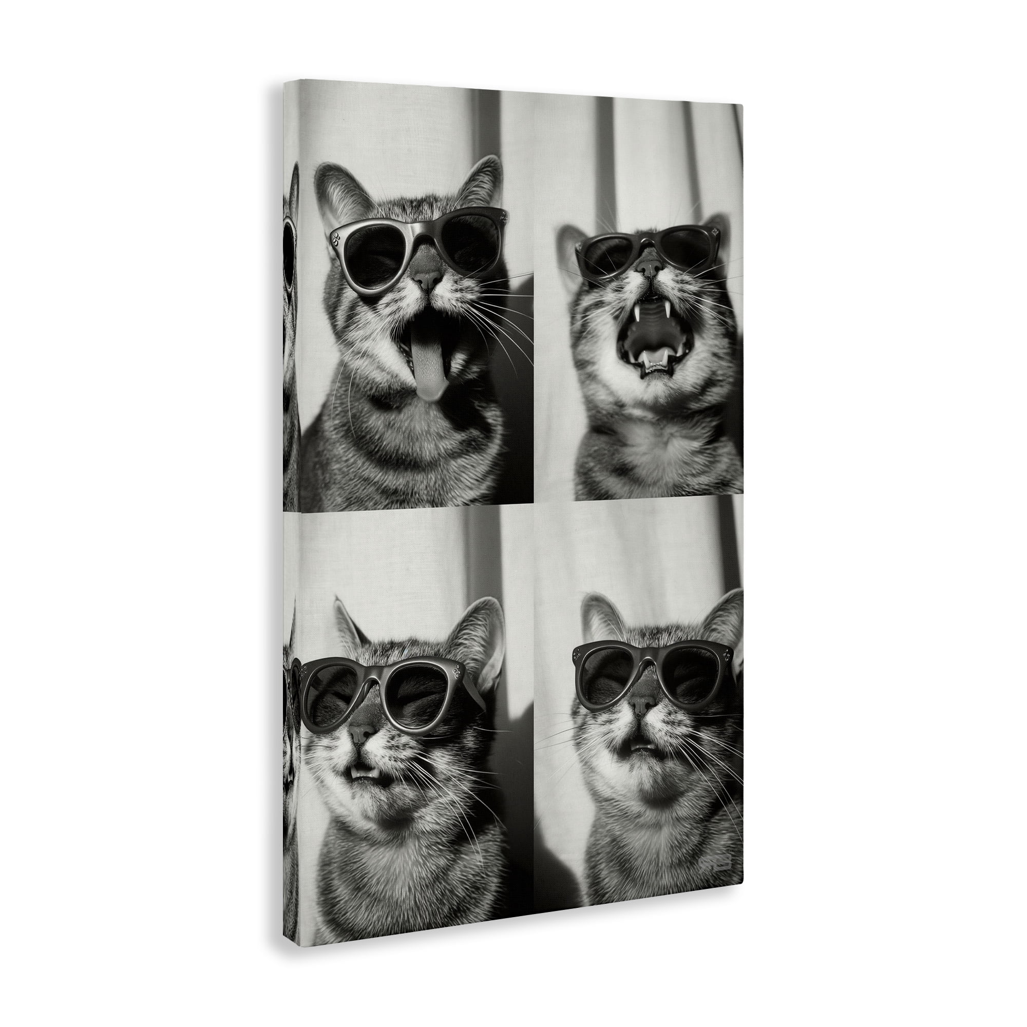 Stupell Industries Photobooth Style Cat Novelty Painting Gallery Wrapped Canvas Art Print Wall Art, 24 x 36