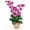 Orchid, variant on Nearly Natural Double Phalaenopsis Silk Orchid Flower Arrangement, Orchid