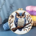 thumbnail image 6 of Punch Needle Kits Owl Embroidery Starter Set with Hoop Easy for Beginners DIY Stress Relief Handmade Craft Hobby and Home Decor 20x20cm-1, 6 of 8