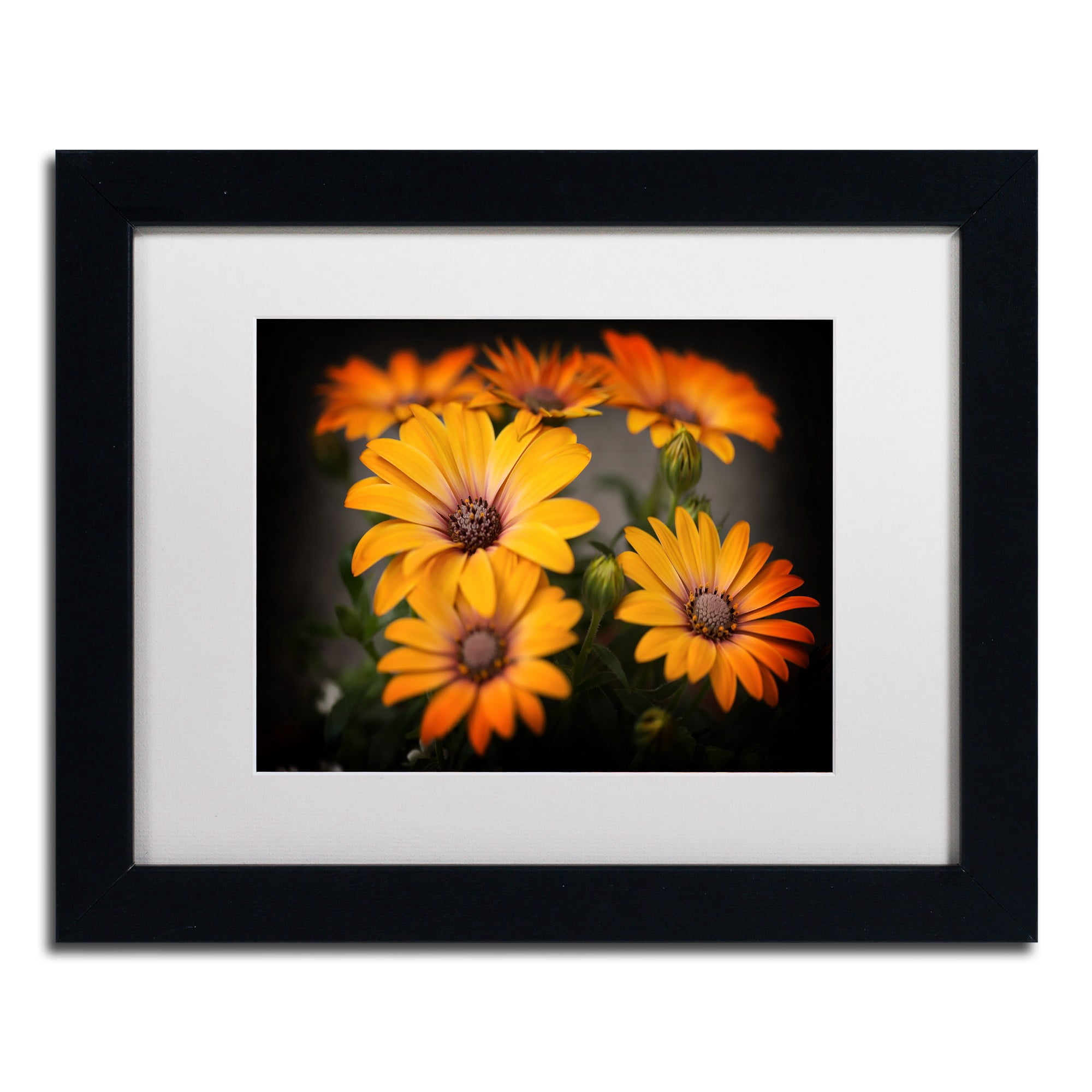 Trademark Fine Art "Stand Up" Canvas Art by Philippe Sainte-Laudy, White Matte, Black Frame