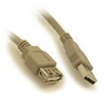 thumbnail image 2 of 6ft USB 2.0 EXTENSION Type A Male to A FEMALE Cable, Beige, 2 of 2