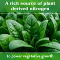 thumbnail image 6 of Down To Earth All Natural Fertilizers Neem Seed Meal 6-1-2, 5 lb Box, 6 of 8