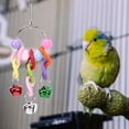 thumbnail image 2 of Juguete para loros NikouMX 6 piezas de loros colgantes colorido, 2 of 8
