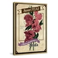 thumbnail image 2 of "Flower Packet Sweet Peas" Painting Print on Wrapped Canvas, 2 of 7