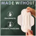 thumbnail image 6 of Ultra Thin Pads for Women, Organic Cotton Top Layer, with Wings, Unscented, Regular Absorbency, 42 ea, 6 of 9