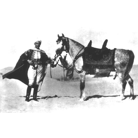 24x36 gallery poster, Publicity photo for the 1926 release Son of the Sheik showing Rudolph Valentino with Jadaan the Arabian stallion in the film