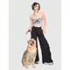 thumbnail image 3 of ROMWE Green Star Print Stretchy Pet Cat/Dog Vest With Gradient Color, 3 of 5