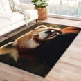 thumbnail image 1 of Red Panda Bedroom Rug - 5x8 Rug - Red Panda Rug - Cute Forest Animal Area Rug - Kids Woodland Animal Rugs - Wildlife Carpet, 1 of 7