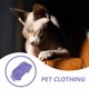 thumbnail image 3 of unbranded Ropa Para Sphynx En Tela De Doble Morada Con Abrigo Térmico Y Cómodo, 3 of 6