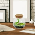 thumbnail image 3 of Worgeous Plant Terrarium Simple Design 1 Pack 4.13 x 4.13 x 3.73 Inch Indoor Decorative Glass Container, 3 of 7