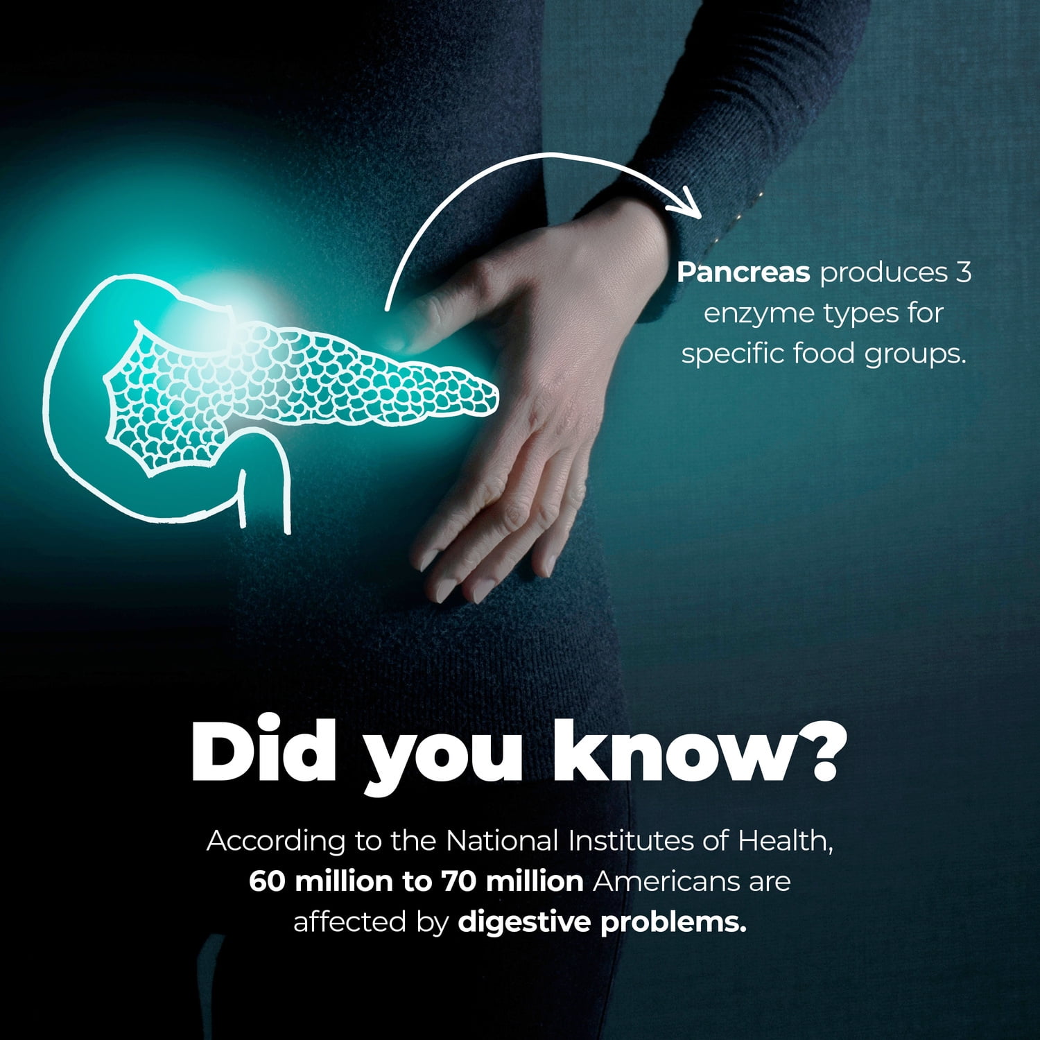 Digestive Enzyme Supplement - Lactase and Lipase Enzymes to Support Better Digestion, by PureHealth Research