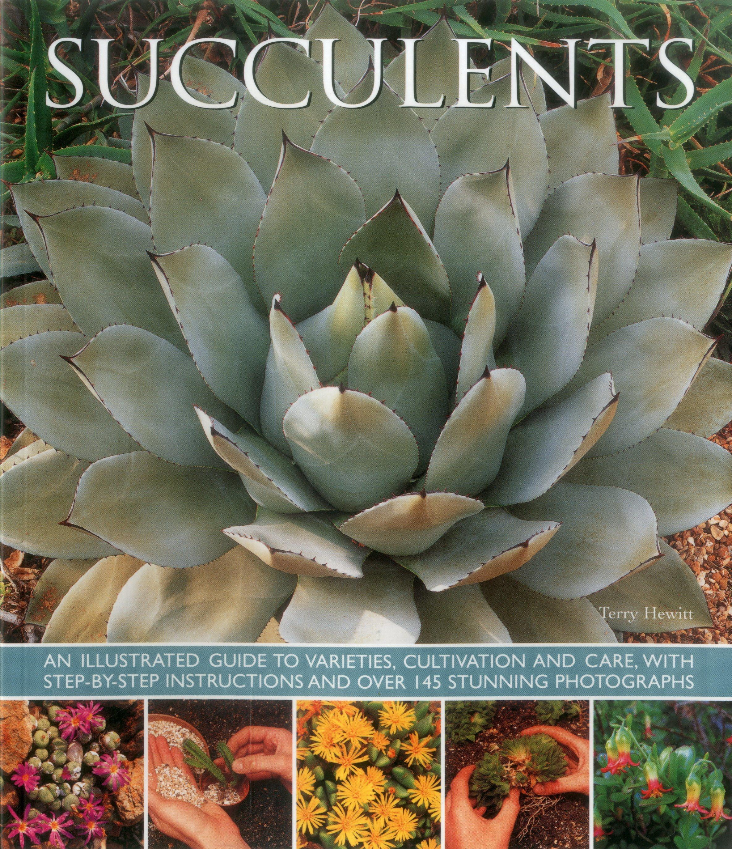 Succulents An Illustrated Guide to Varieties, Cultivation and Care