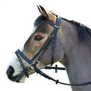 Wintec Bridle with Flash Horse Brown