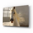 thumbnail image 2 of Epic Art ' Elegance' by Tony Stromberg, Acrylic Glass Wall Art, 16"x12", 2 of 8