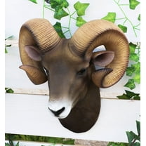 Rocky Mountains Bighorn Ram Trophy Taxidermy Wall Decor Sculpture Hanging Plaque