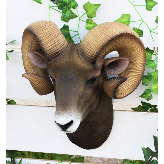 Rocky Mountains Bighorn Ram Trophy Taxidermy Wall Decor Sculpture Hanging Plaque
