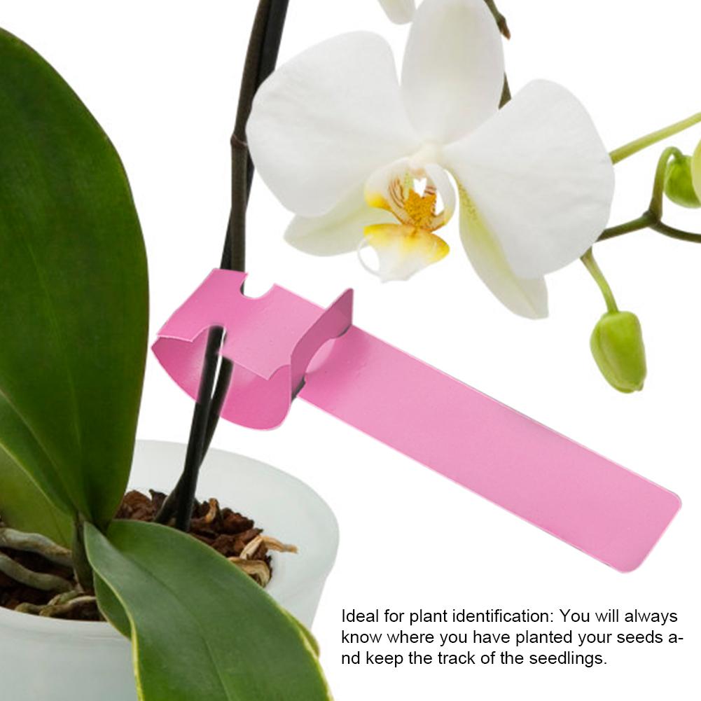 Tebru Hanging Flower Label Marker, Hanging Flower Label, 100pcs Plastic  Nursery Garden Decor Stake Tags Plant Labels Lawn Ornament