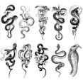 thumbnail image 2 of Cuadros Decorativos 10 piezas tatuaje temporal pegatina impermeable serpiente brazo tatuaje pegatina para hombres mujeres Wdftyju  embutido en tela, 2 of 4