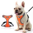 thumbnail image 1 of Reflective Respirant Doux Maille Sans Tirer Chiot Choke Libre sur Harnais Gilet de Tête (Orange), 1 of 6