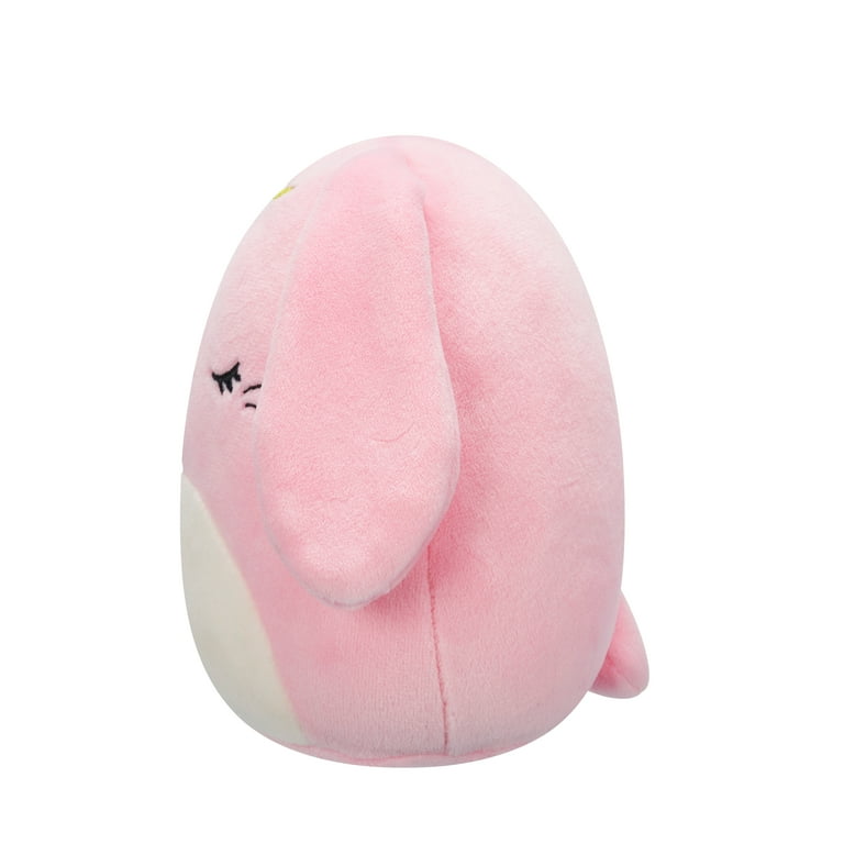 くまʕ•ᴥ•ʔ Squishmallow Koala with Happy Birthday - Donny 8 Inch – Owl
