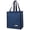 D, variant on Insulated Lunch Bag for Adults Large Capacity Cooler Reusable Thermal Lunch Box for Work Travel Picnic, Leak Proof Soft Cooler Tote with Zipper for Men Women Office, 1 Lunchbox Bag