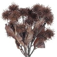 thumbnail image 3 of Vickerman 15" Mocha Artificial Earth Flower, 2 per bag., 3 of 3