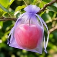 thumbnail image 4 of 100Pcs Fruit Protection Bags, Green Netting Cover Bags Drawstring Mesh Fruit Protectors Pest Barrier for Tomato Mango Trees Veggies Garden(S,Light Purple), 4 of 6