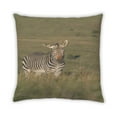 thumbnail image 2 of Ahgly Company Animals Zebra Indoor Throw Pillow, 18 inch by 18 inch, 2 of 6