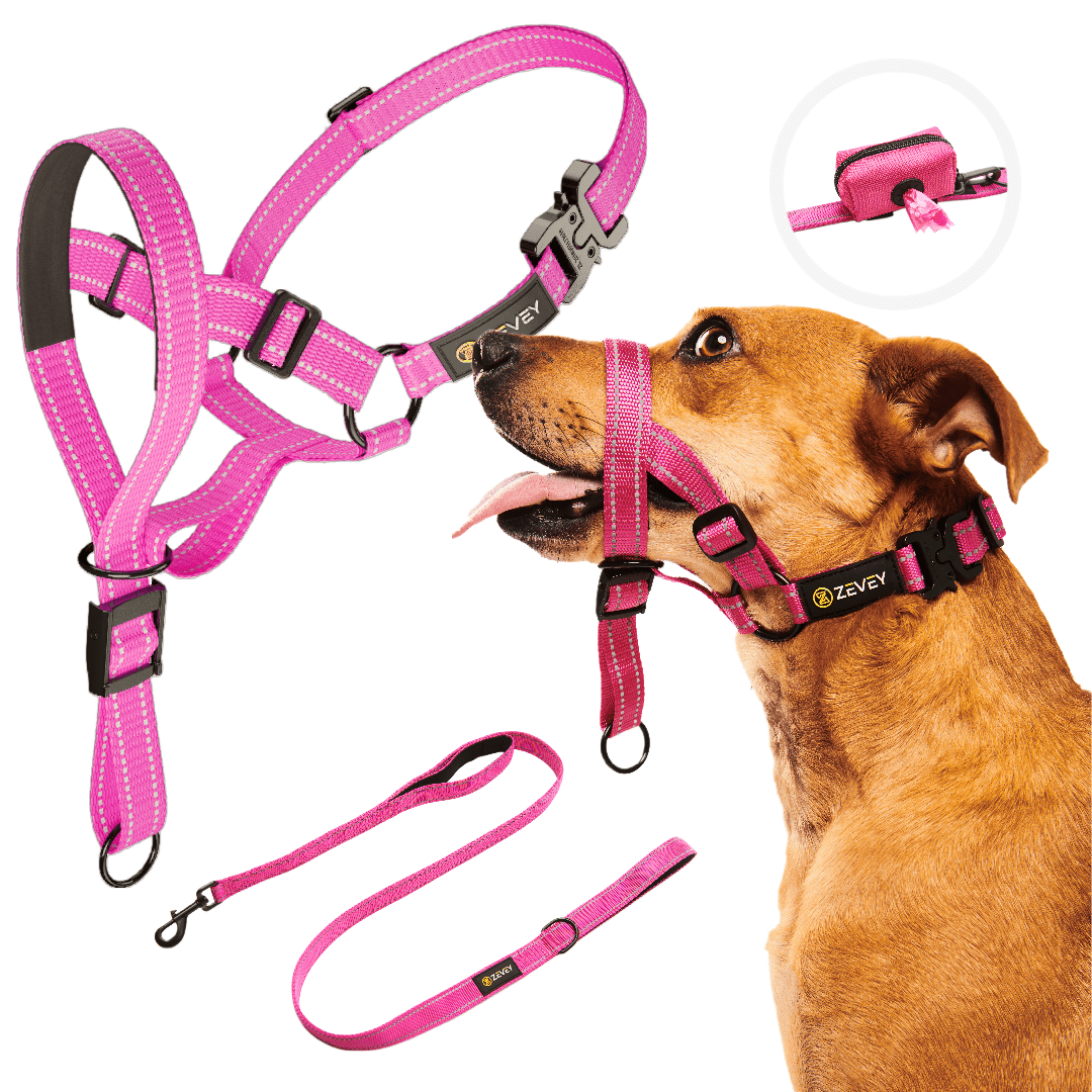 Zevey Dog Headcollar With Leash And Safety Strap Stops Heavy Pulling On The Leash Padded Reflective Head Halter For Small Medium Large Dogs Adjustable Head Harness For Training And Walking, (M, Pink)