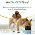 thumbnail image 3 of Ocu-GLO Vision Supplement for Dogs & Mature Cats by Animal Necessity with Lutein, Omega-3 Fatty Acids, Grape Seed Extract and Antioxidants to Promote Eye Health in Dogs & Cats, 30 Soft Chews, 3 of 6