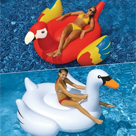 Swimline Giant Swan and Parrot Floats for Swimming Pools