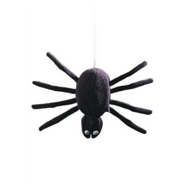 Dropping Dan Spider