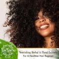 thumbnail image 4 of Nae Nae's Naturals [Step 1] PURIFY: Clarifying Shampoo - Sulfate free, Natural, Vegan, Curly Hair, Gentle Clarifying Formula 8 oz., 4 of 9