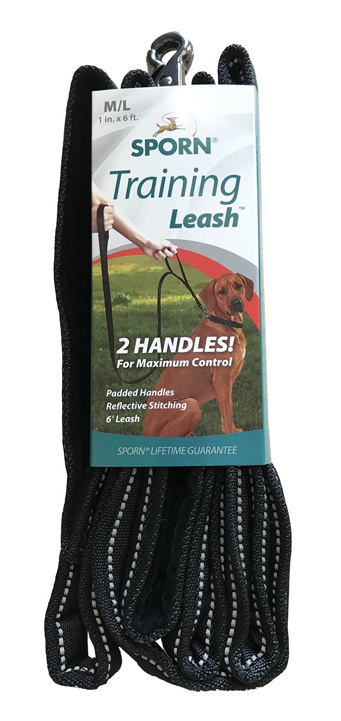 dog bike leash walmart
