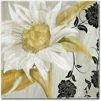 Trademark Fine Art "Sunroom I" Canvas Art by Color Bakery