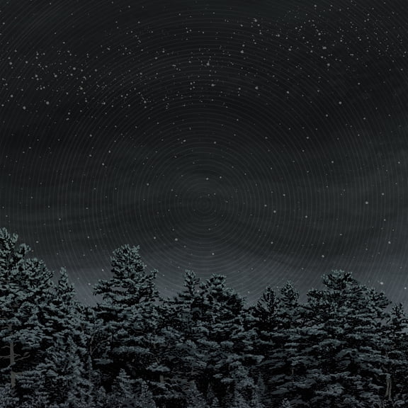 The Besnard Lakes - The Besnard Lakes Are The Prayers For The Death of Fame - Music & Performance - Vinyl