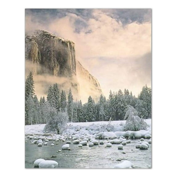 Yosemite Winter Snow Tree Lake Landscape Wall Picture 16x20 Art Print