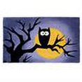 thumbnail image 2 of Geo Crafts, Inc Halloween Owl Doormat, 2 of 2