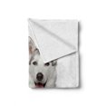 thumbnail image 2 of Cat Soft Flannel Fleece Blanket, Animal Theme a Dog and a Cat Lying Together on the White Background Digital Image, Cozy Plush for Indoor and Outdoor Use, 70" x 90", White and Grey, by Ambesonne, 2 of 6