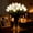 5*White Flowers, variant on Radiant Romantic Tulip Light - LED Artificial Flowers, Battery Operated, Cordless Ambient Night Lamp for Home Decor ( No Vase)