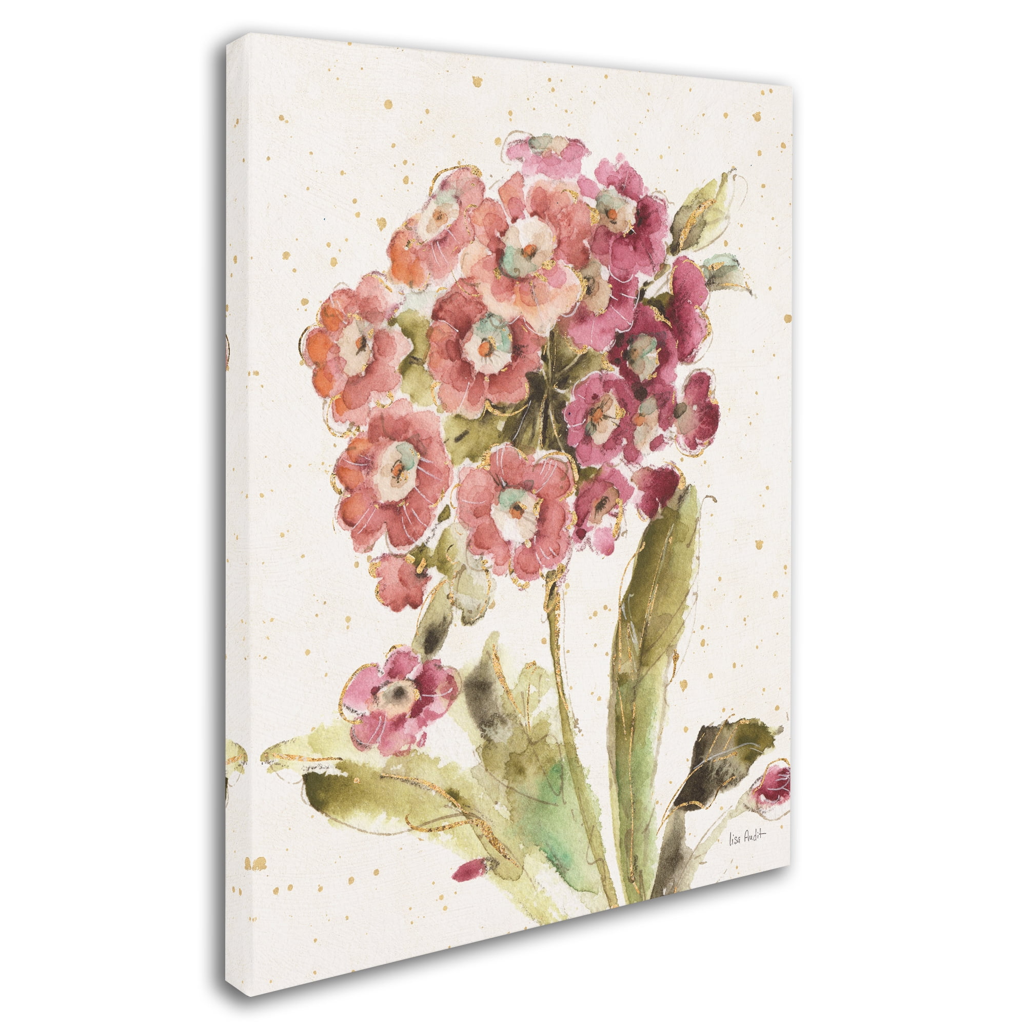 Trademark Fine Art 'Country Bloom II' Canvas Art by Lisa Audit