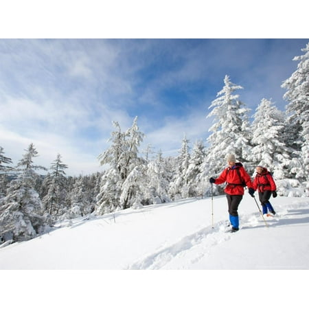 Winter Hiking on Mount Cardigan, Clark Trail, Canaan, New Hampshire, USA Print Wall Art By Jerry & Marcy