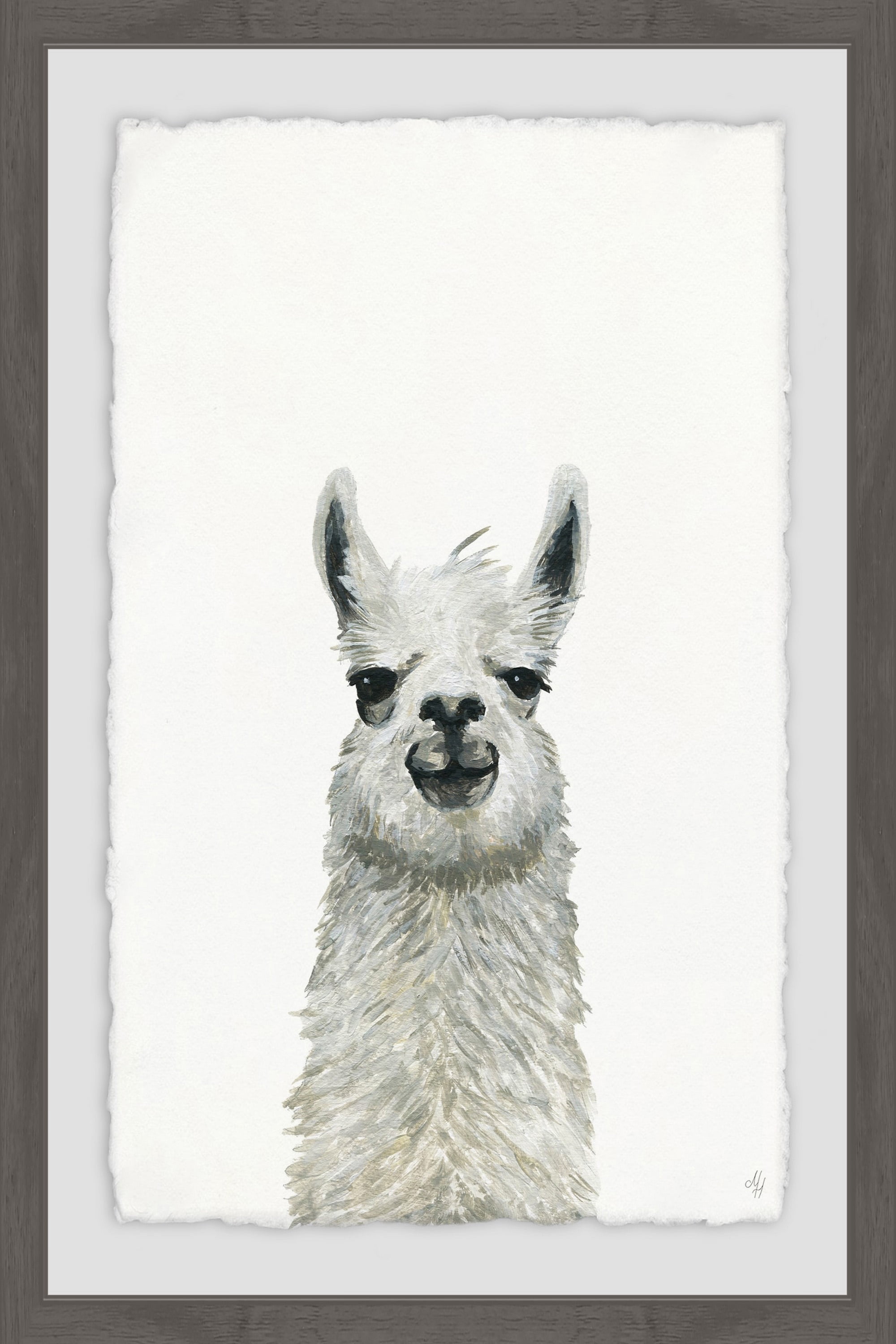 Llama Close-up Framed Painting Print
