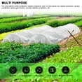thumbnail image 5 of Gustave Plant Covers Freeze Protection Fabric Floating Row Cover Reusable Frost Cloth Blanket Garden Insect Pest Netting Sun Protection for Winter Outdoor Plants Fruits Vegetables, 4.9'x16.4', 5 of 9