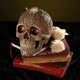 thumbnail image 2 of SZTXJ Life Size Human Skull/Skull Model - Day of the Dead Decoration, 2 of 5