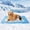 Blue, variant on Summer Cooling Mat & Sleeping Pad- Water Absorption Top, Materials Safe, Easy Carry, EZ Clean. Keep Cooling for Pets, Kids and Adults.